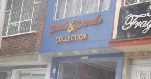 PINTO & PARDO COLLECTION PINTO & PARDO COLLECTION